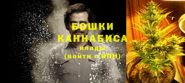 ПСИЛОЦИБИНОВЫЕ ГРИБЫ Арсеньев
